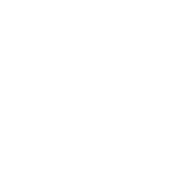Sulcatas Washout Logo